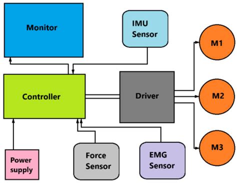 Development of an Ankle Exoskeleton: Design, Modeling, and Testing