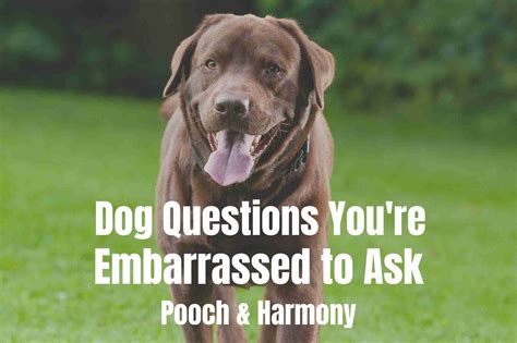 Taming The Worst Common Diseases Questions You’re Too Embarrassed To Ask
