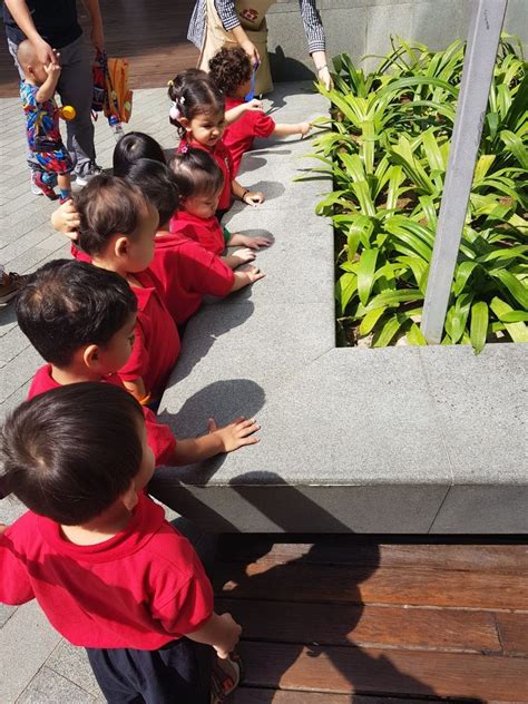 Maple Bear Global Schools Office Photos