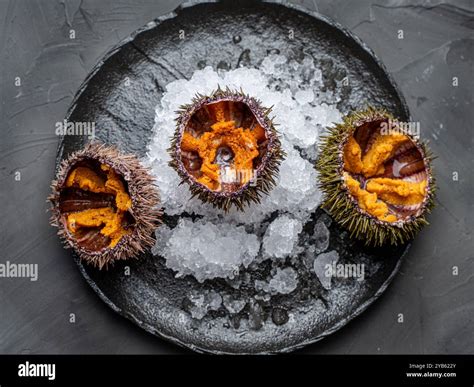 Raw seafood, exposed sea urchins with caviar on ice on a black mica ...