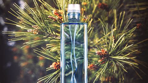 Revolutionary UPM Raflatac Forest Film™ wins multiple awards | UPM ...