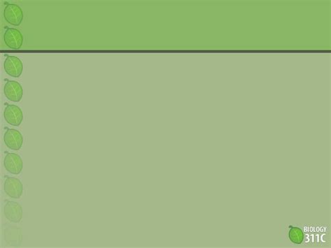 Biology Ppt Background 的图像结果