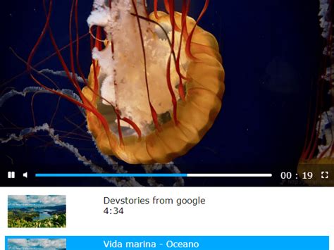 Image result for JavaScript Playlist