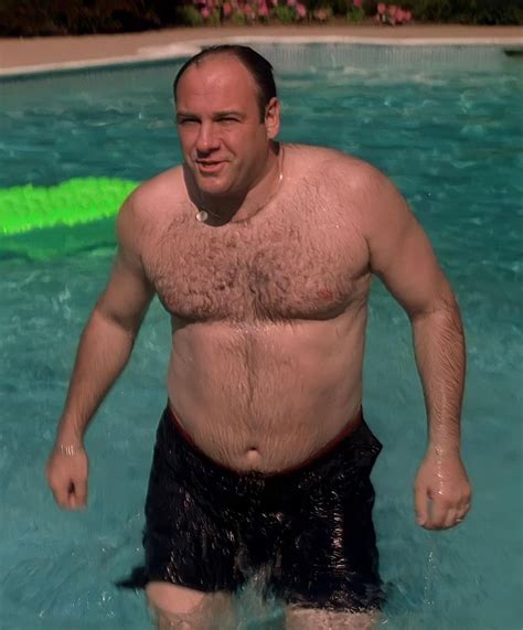 Stocky Men, Big Daddy Bear, Shirtless Actors, Moobs, Handsome Older Men ...