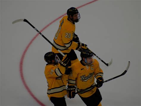 Field hockey vs. ice hockey: key differences and skills | Meer
