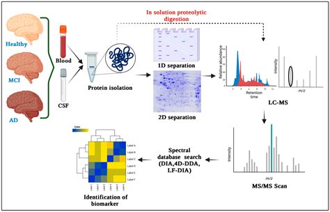 Unveiling the Molecular Footprint: Proteome-Based Biomarkers for ...