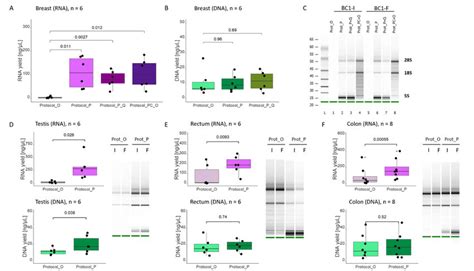 Image result for DNA vs RNA Extraction