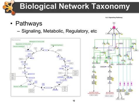 Image result for Cytoscape Network Analysis Tutorial