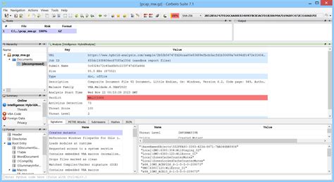 Pcap File 的图像结果
