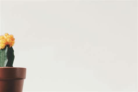 Minimalistic Background 的图像结果