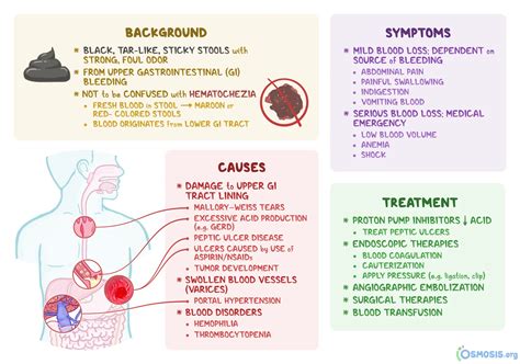 Blood in the stool - causes, symptoms, diagnosis and treatment [EXPLAINED] - Healthy Food Near Me