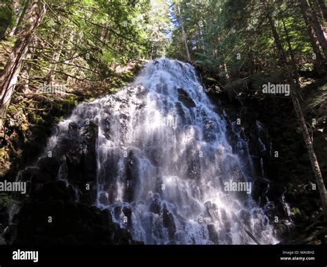 Ramona Falls Hike at Mt Hood Wilderness in Oregon Stock Photo - Alamy