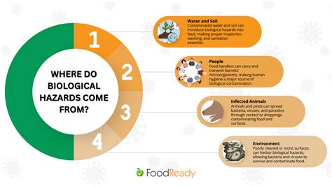 Biological Hazards In Food