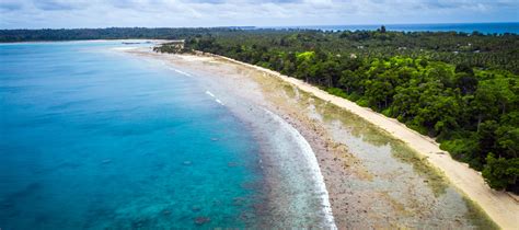 Best Beaches in India for International Tourists | Indian Panorama