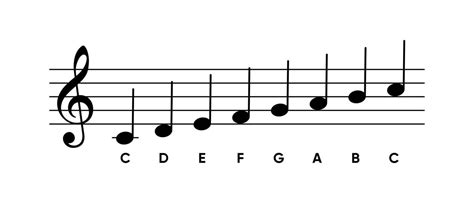 Image result for Musical Scale Notes