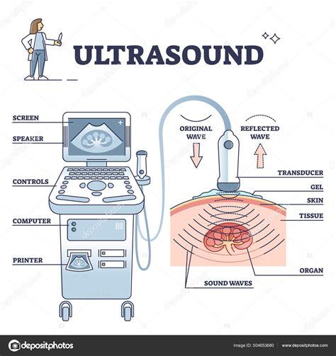 Parts Of Ultrasound Machine Physiotherapy at Annabelle Finlay blog - components of ultrasound machine