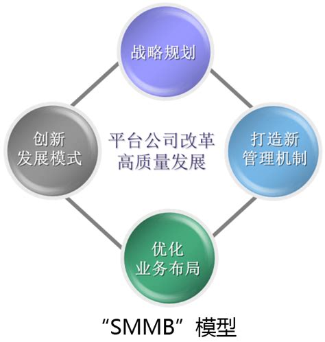 山东经济观察 ：地方国有平台公司转型，助力新旧动能转换_发展