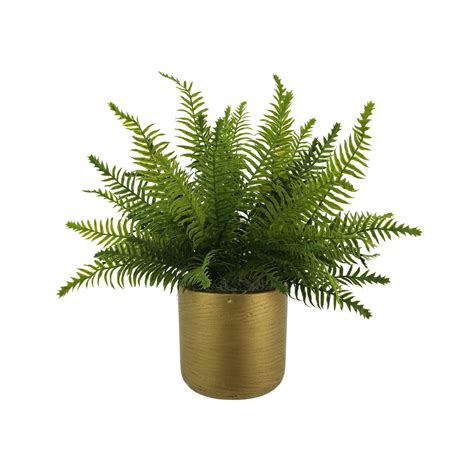 Primrue 20" Artificial Fern Plant in Pot | Wayfair