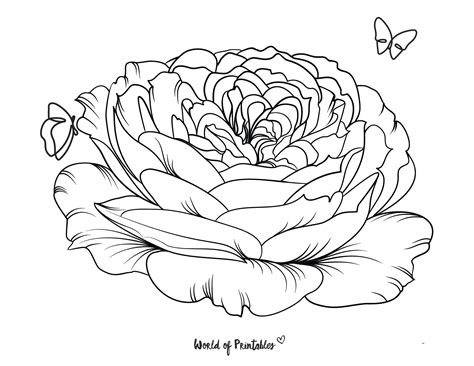 Realistic Flower Coloring Pages