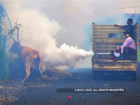 Is death by malaria an accident? No, says Supreme Court - The SC ruling ...