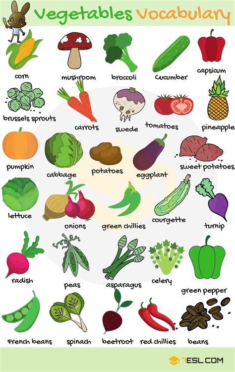 Vegetable Names • 7ESL | Tiếng anh, Trái cây, Từ vựng