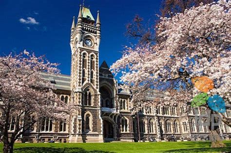 「新西兰留学」新西兰奥克兰大学留学申请公证需要准备哪些材料？