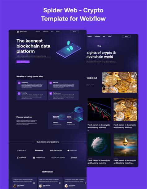 Spider Web Website HTML CSS JavaScript 的图像结果