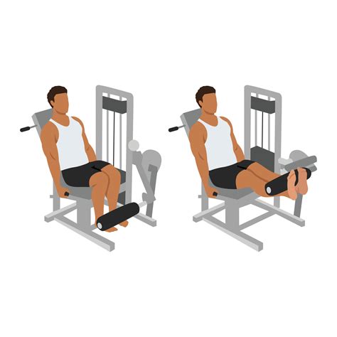 Leg Extension Exercise Without Machine