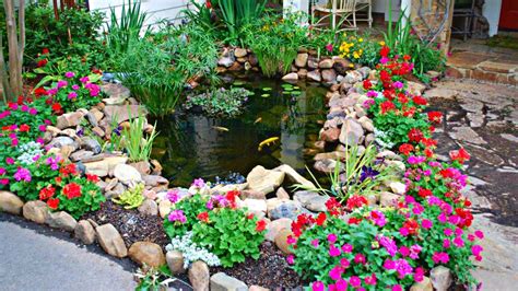 Louisiana Native Plants For Landscaping: Low-Maintenance Picks That ...