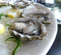 oyster 的图像结果