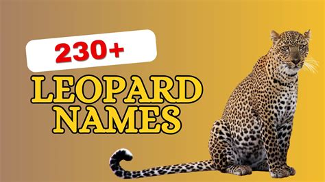 230+ Leopard Names with Meanings