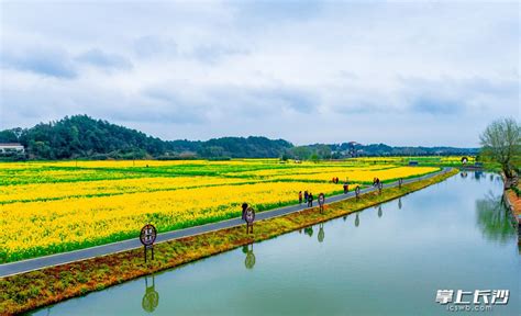 【星辰头条】浏阳河在长沙县江背镇“湾”出一条美丽乡村风景线 星辰头条_星辰在线、长沙新闻网新媒体客户端平台