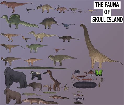 fauna de la isla de las calaveras
