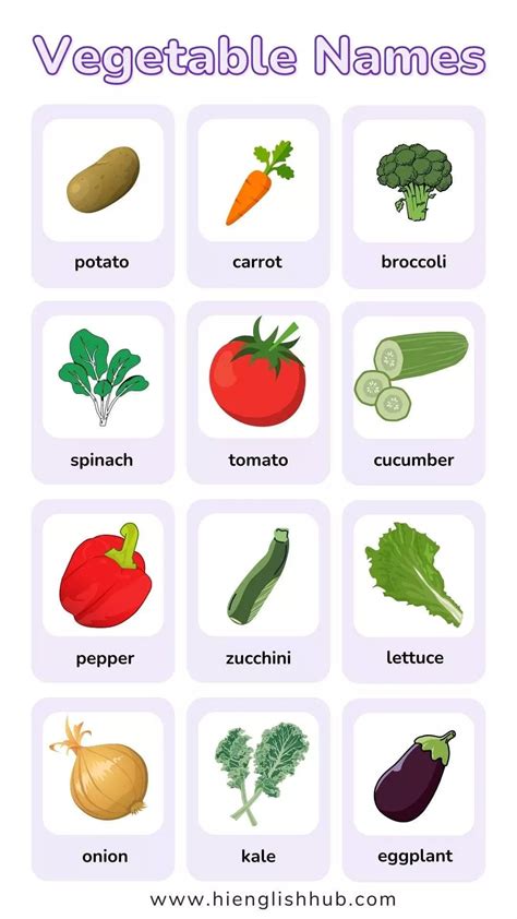 91+ Vegetable Names In English With Pictures - Hi English Hub Visual ...