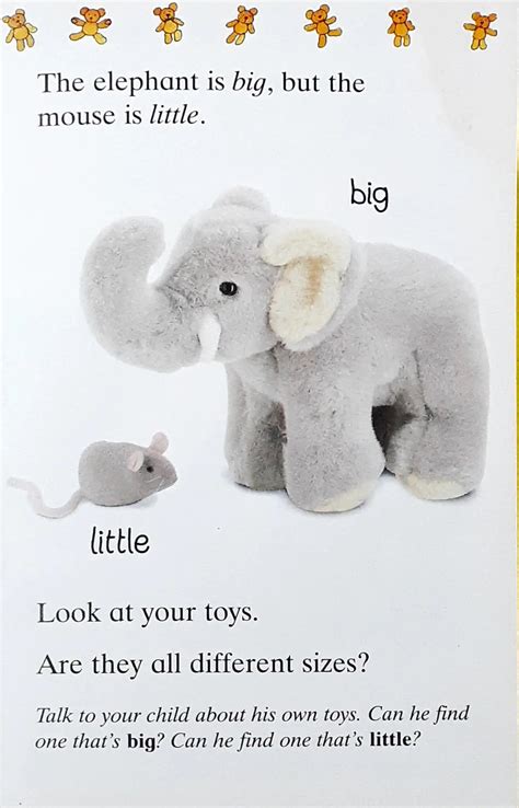 First Steps with Ladybird : Sorting and Opposites (P) – Books and You