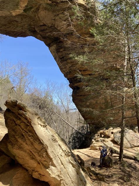 Are Dogs Allowed At Red River Gorge