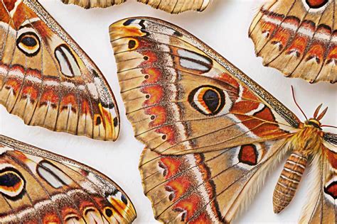 Image result for Python Code Math