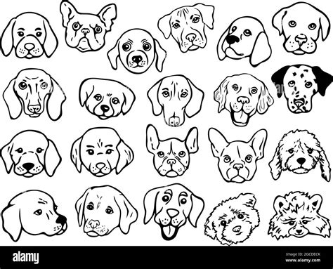 Vector illustration set with outlines of different breeds dog faces ...