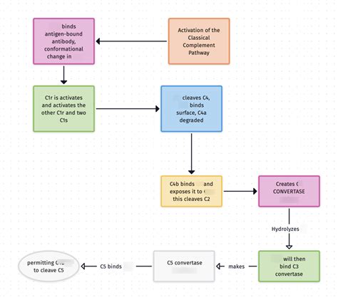 Classical Pathway Complement System.Drawing 的图像结果