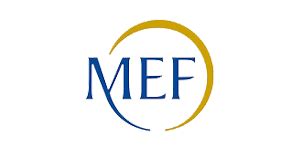 Analytic models spotlight risky loans | SAS India