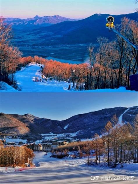 滑雪场 的图像结果