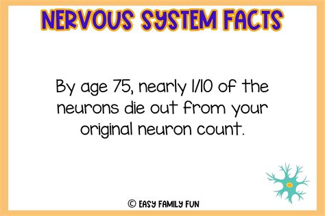 50+ Interesting Facts about the Nervous System [Fact Cards]