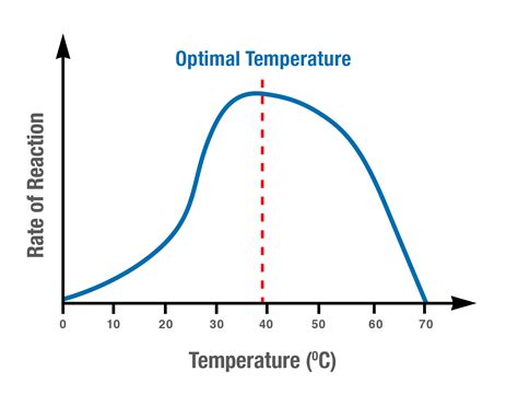 Factors affecting enzyme activity - Student Academic Success