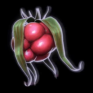 Raspberry - bg3.wiki