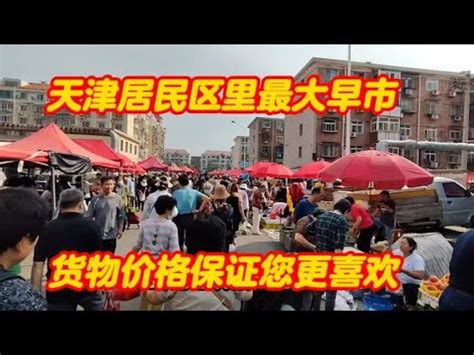 天津物价感动北京人，西瓜六毛一斤，茄子两元一堆儿天 - YouTube