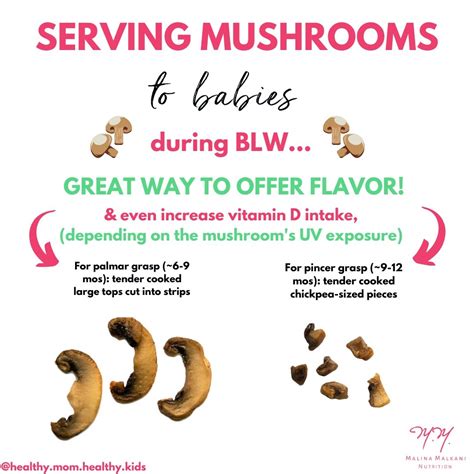 Can Babies Eat Mushrooms? - Motherhood’s Bliss