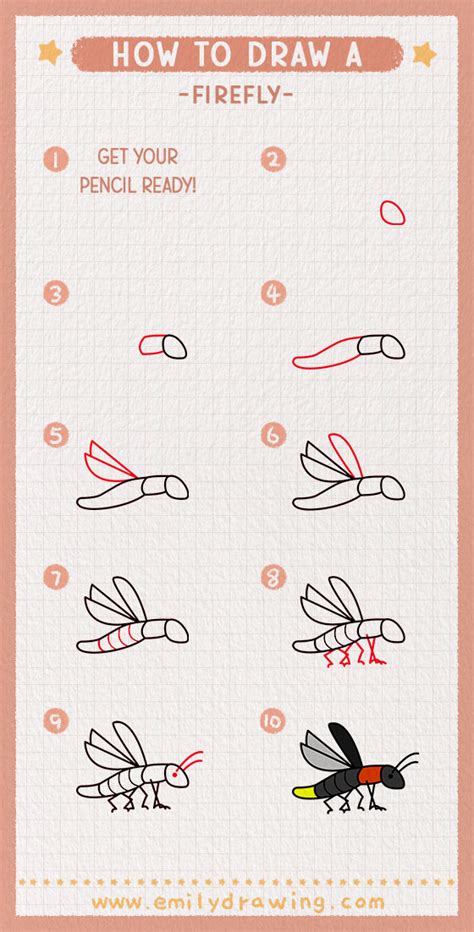 How to Draw a Firefly - Emily Drawing