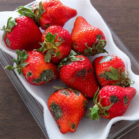 Can Frozen Strawberries Cause Diarrhea at Fawn Adams blog