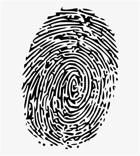 Fingerprint Vector High Resolution - Fingerprint Clip Art Transparent ...