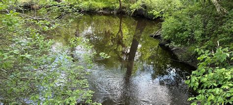 West Hill Dam Wildlife Management Area Trail, Massachusetts - 17 ...